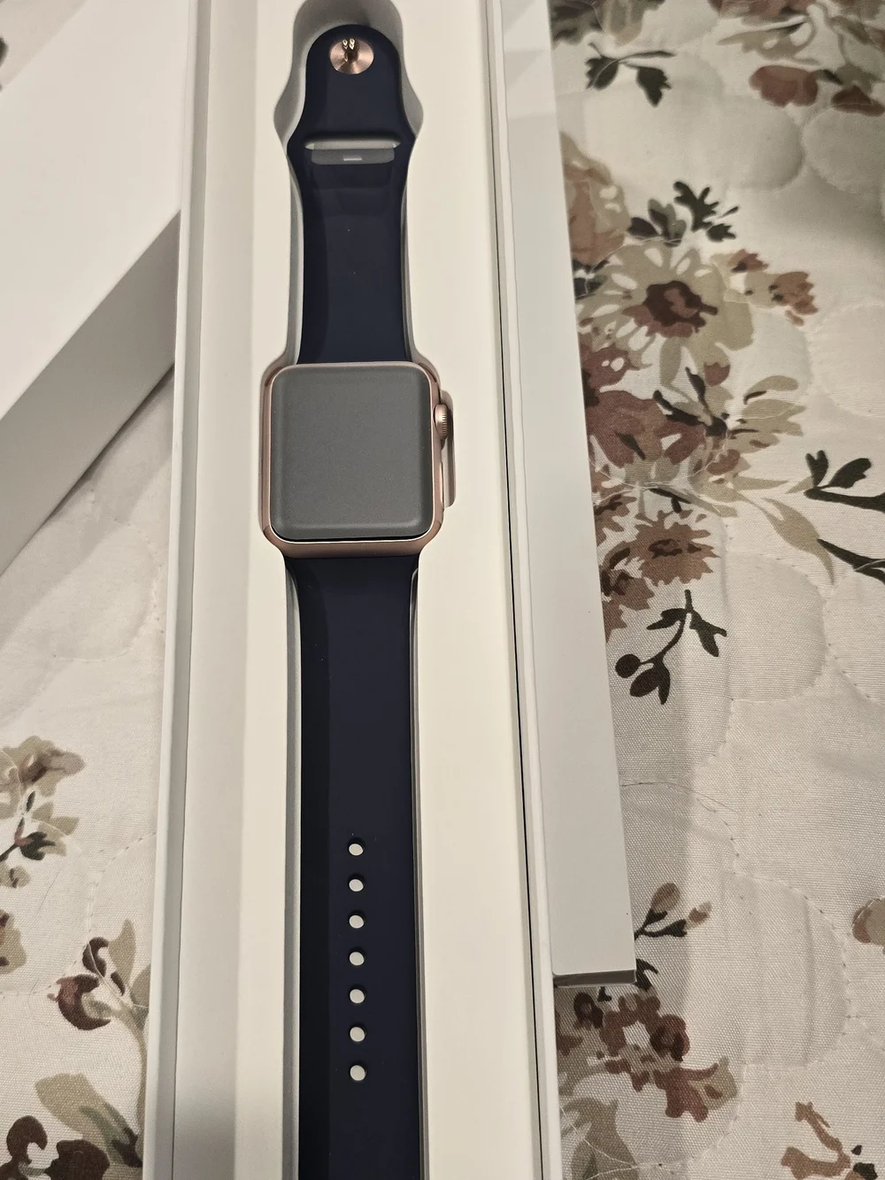 Apple classic watch
